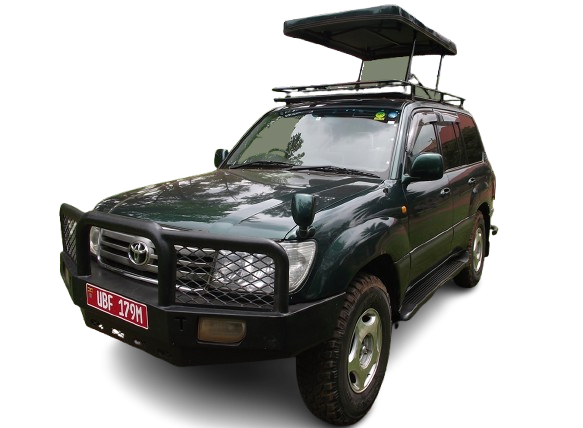 v8 pop up removebg preview