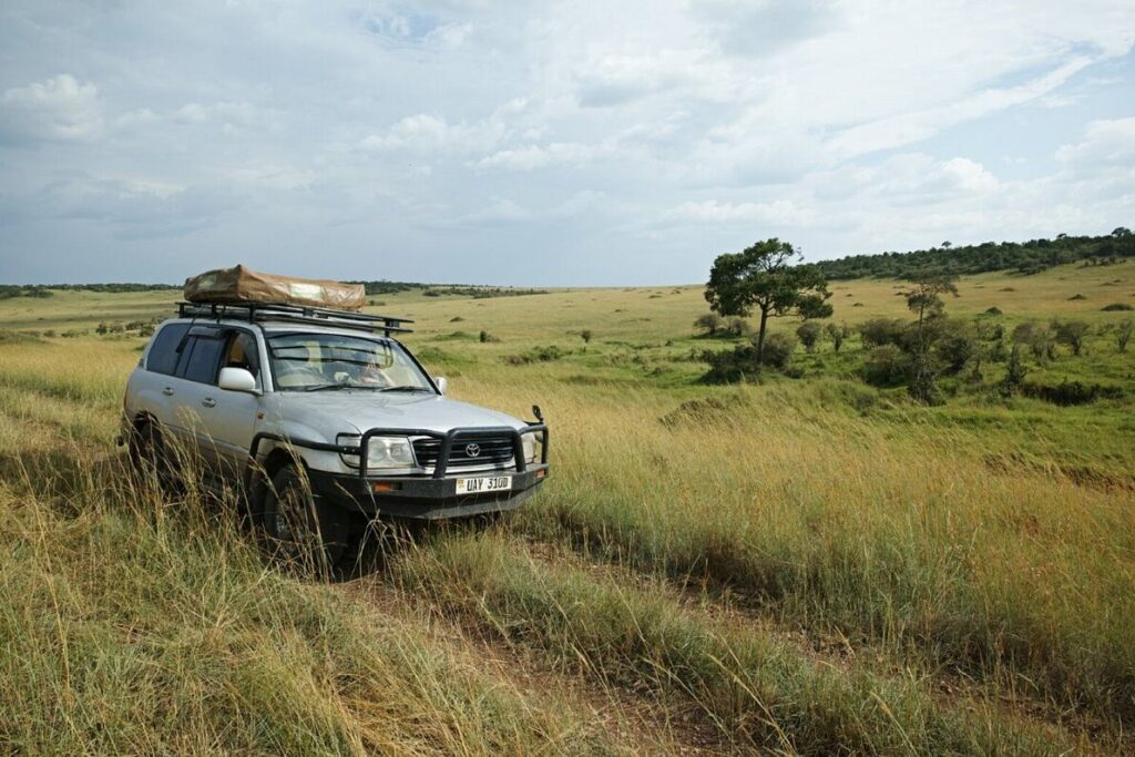 road trip in a land cruiser v8/vx
