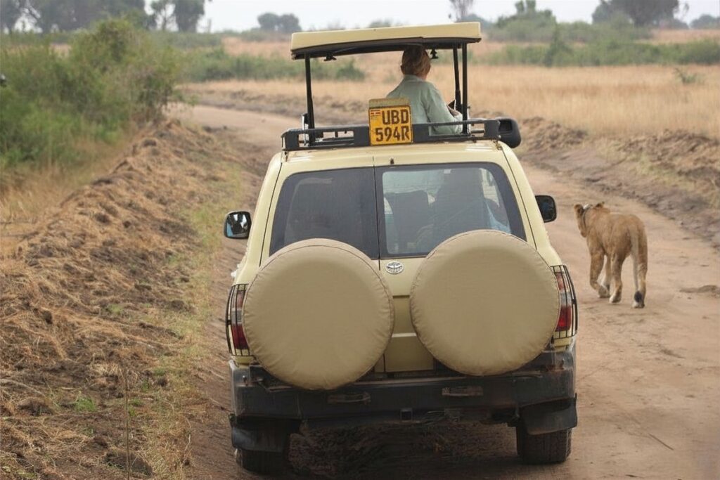 land Cruiser v8 car rental entebbe