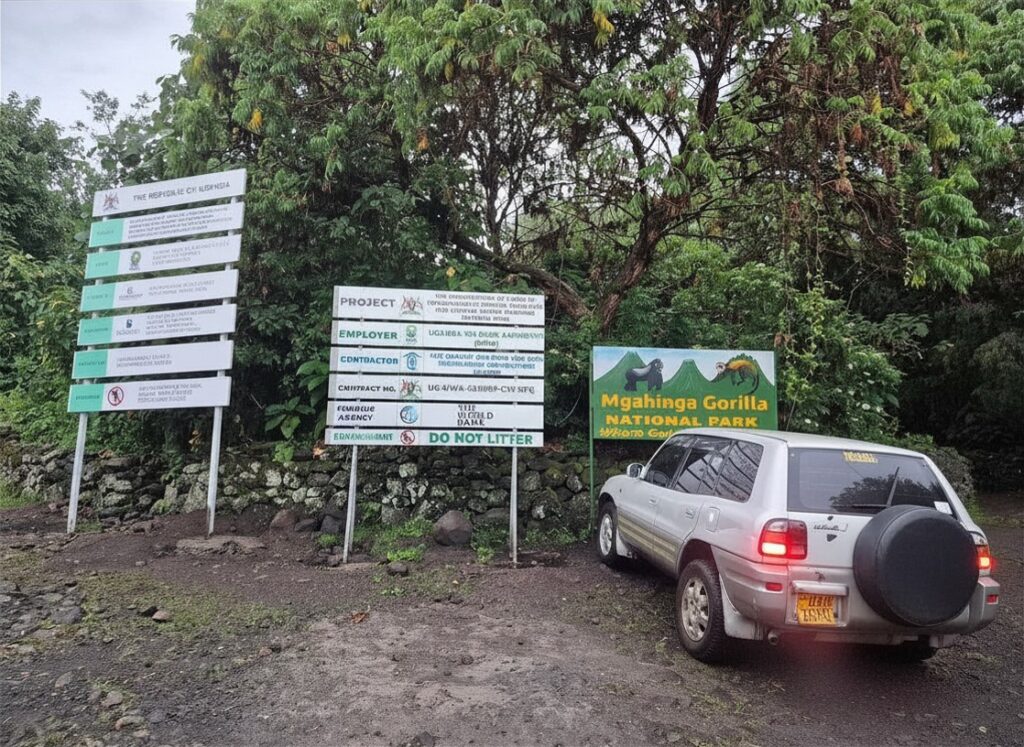 toyota Rav4 Uganda rental